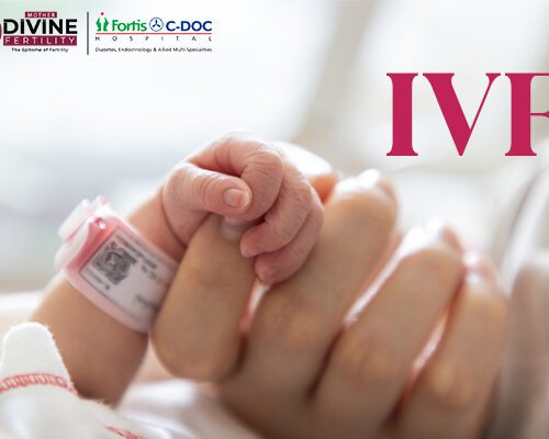 Best IVF Centre in Noida