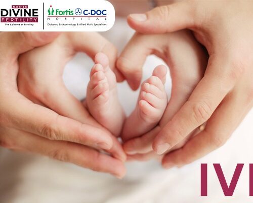 Best IVF Centre in Chennai