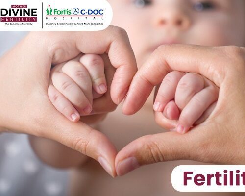 What is Fertility?