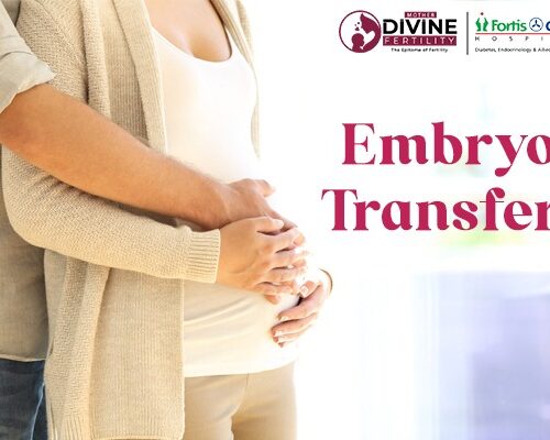 Embryo Transfer in Delhi