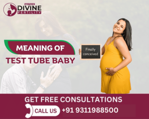 Test Tube Baby Process & Price