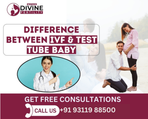 Difference Between IVF and Test Tube Baby