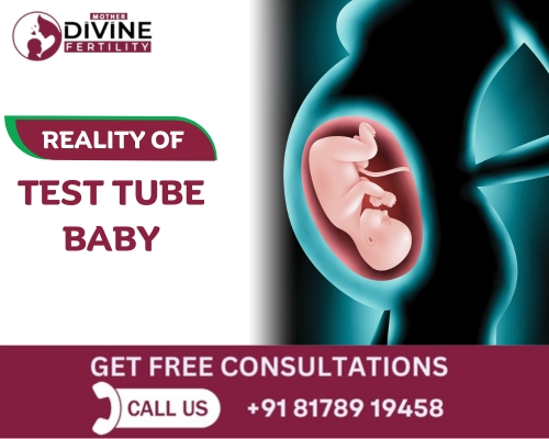 Reality Of Test Tube Baby – Full Treatment Process