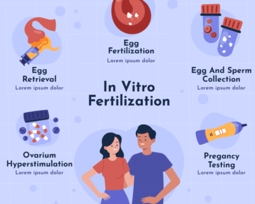  A Complete Guide to Understanding In Vitro Fertilization (IVF)