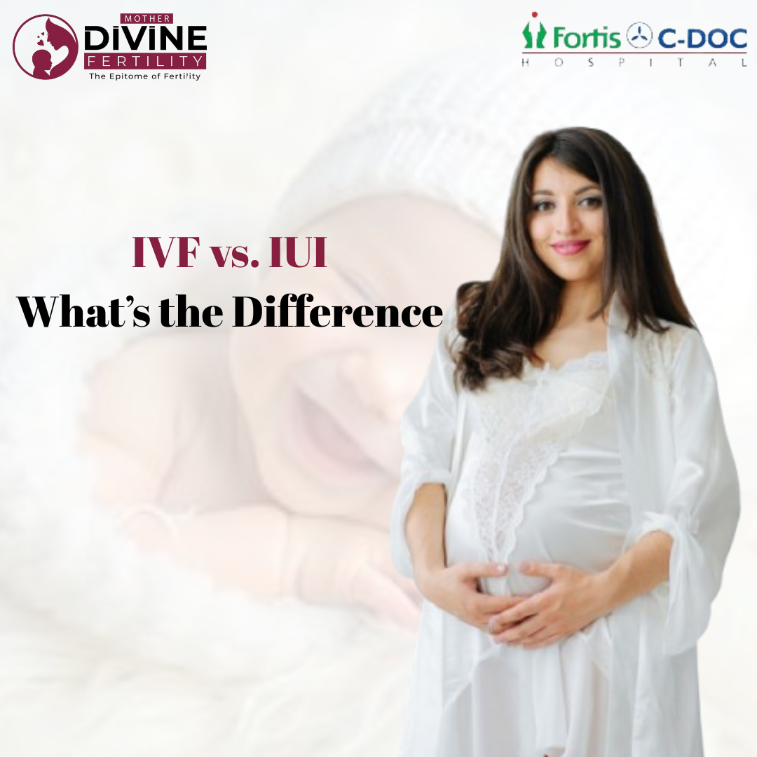 new blog 10 Mother Divine Fertility