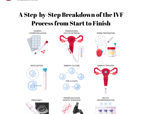 A Step-by-Step Breakdown of the IVF Process from Start to Finish