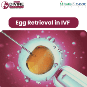 new blog 15 Mother Divine Fertility