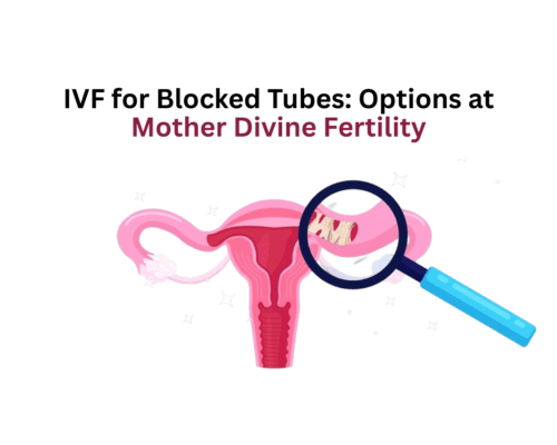IVF for Blocked Tubes: Options at Mother Divine Fertility