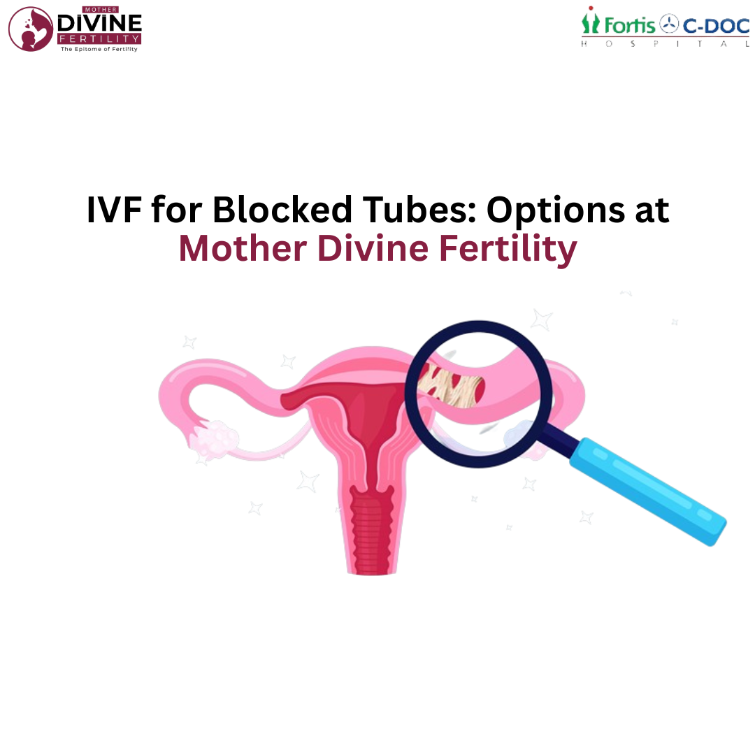 new blog 23 Mother Divine Fertility