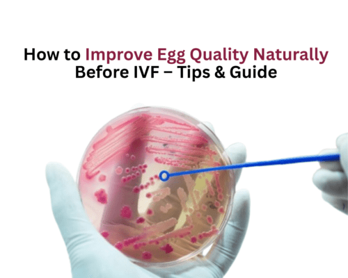 How to Improve Egg Quality Naturally Before IVF – Tips & Guide