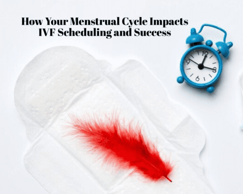 How Your Menstrual Cycle Impacts IVF Scheduling and Success