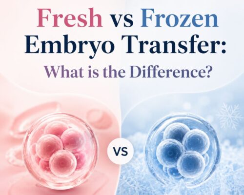 Fresh vs Frozen Embryo Transfer: What is the Difference?