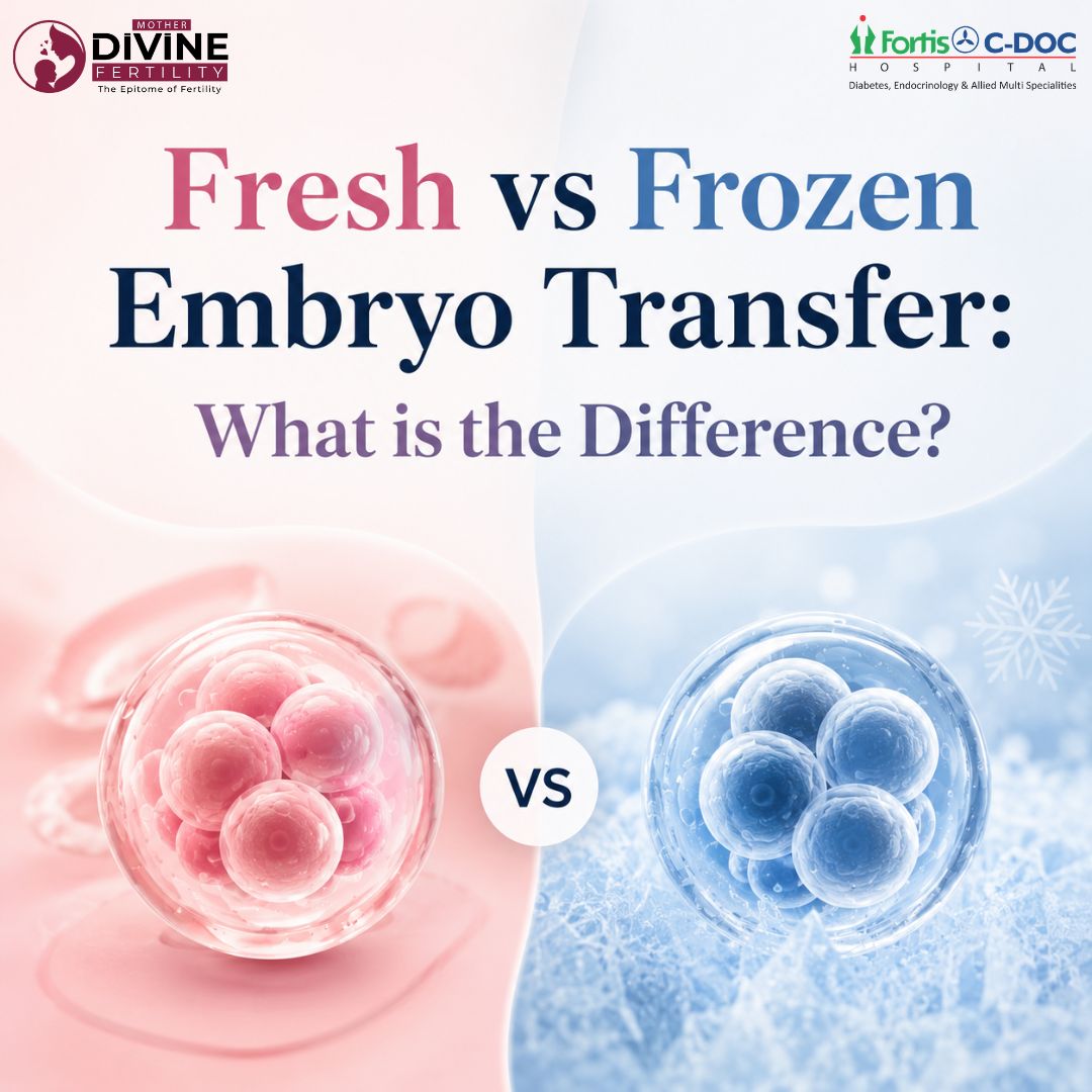 Fresh vs. Frozen Embryo Transfer: Difference, Success Rate & Which is Better?
