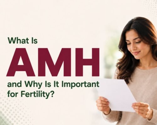 What Is AMH and Why Is It Important for Fertility?